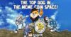 Dogetti Crosses Fingers With 900% Uptick; A New DeFi Coin To Wrestle With Loopring, Frax? RVCJ Media