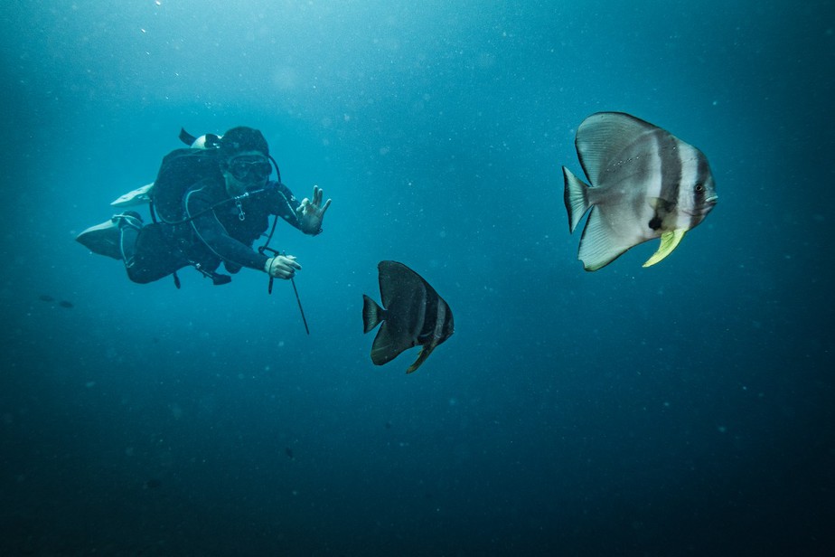 5 Best Places for Scuba Diving Around the World