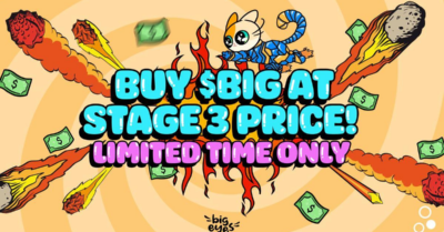 Are Crypto Presales Like Big Eyes Coin, Ecoterra, And AiDoge Worth Buying? RVCJ Media