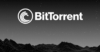 Discovering Peers: How BitTorrent (BTT) Facilitates P2P Connections