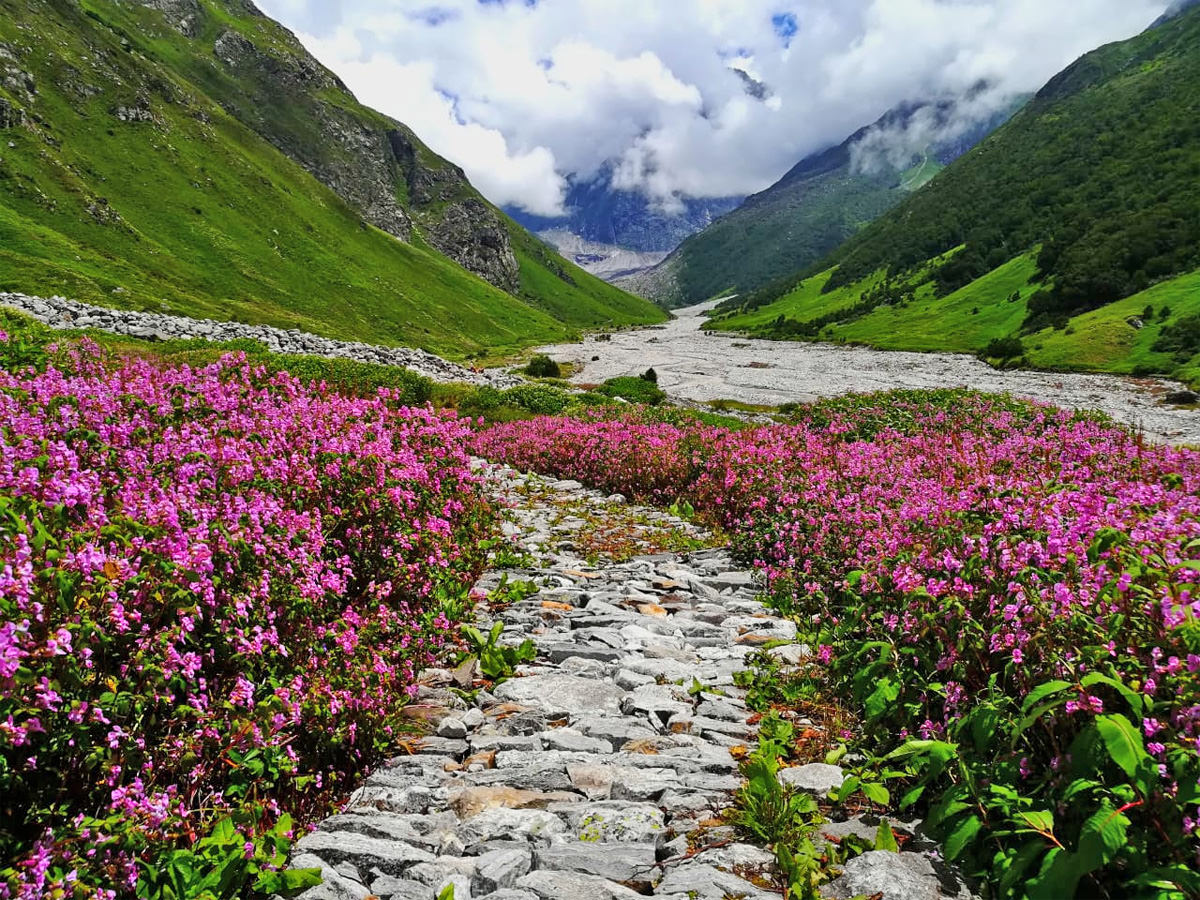 Exploring Nature: Top 6 Best Places for Trekking In India