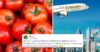 Daughter Brings 10 Kg Tomatoes For Mother As Gift From Dubai, Twitter Cracks Up RVCJ Media