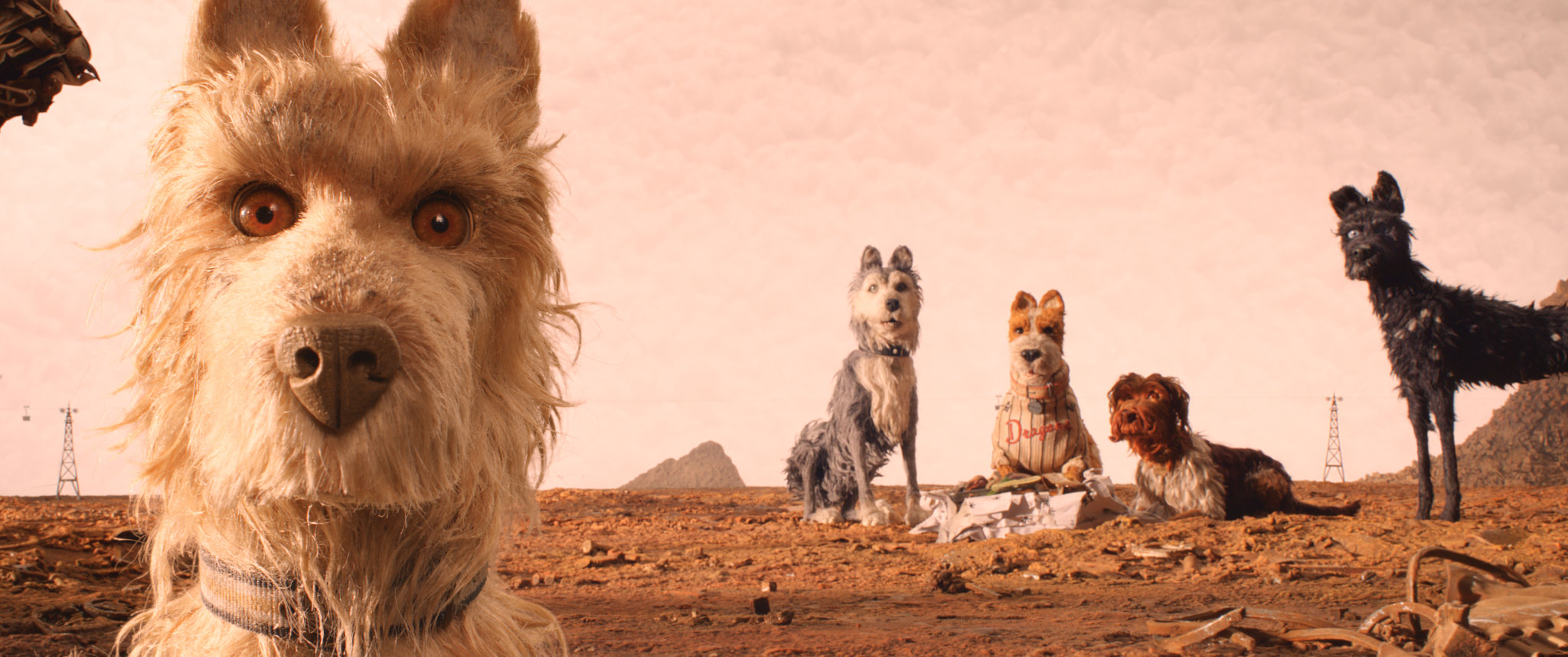 8 Best Wes Anderson Movies You Should Watch