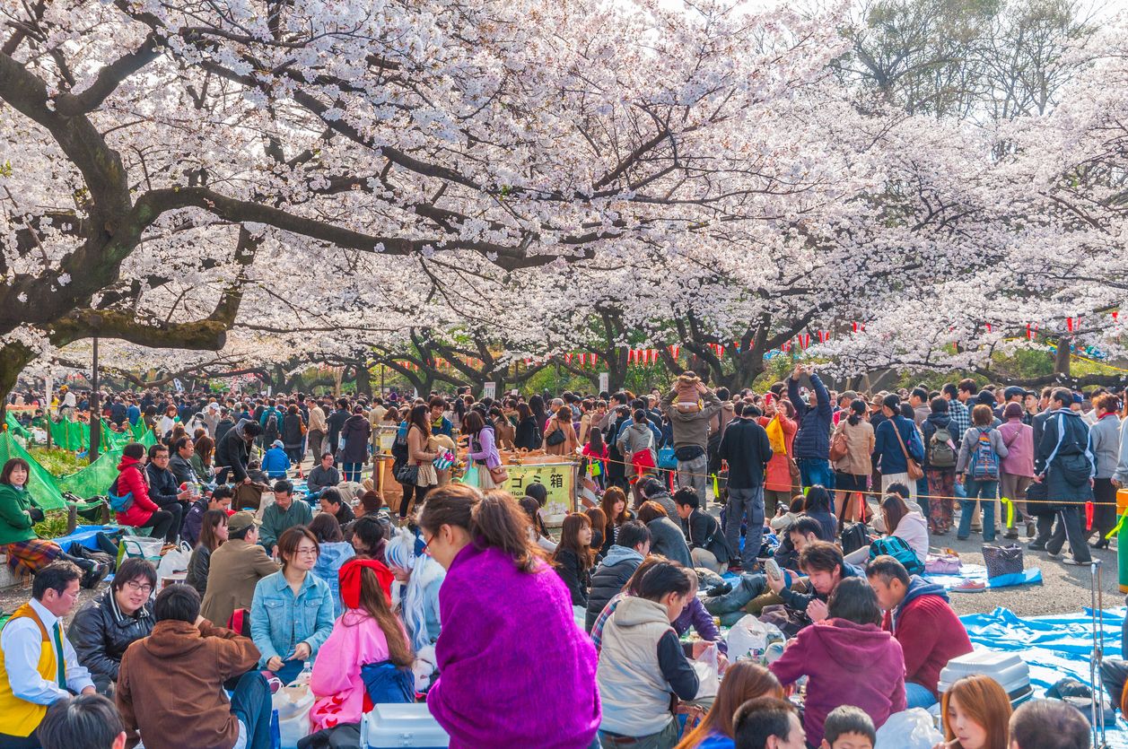 Most Colourful Festivals, Most Colourful Festivals around the world, Colorful Festivals