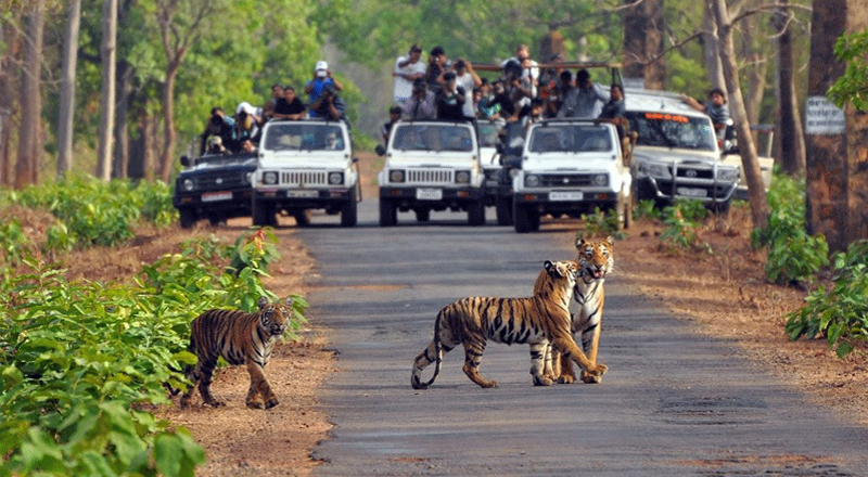 Bucket List Adventures: 10 Thrilling Outdoor Activities Across India