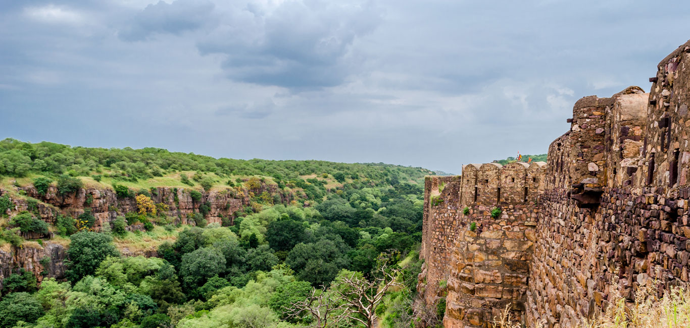 Wildlife Encounters: Discover Breathtaking Fauna in These 10 National Parks of India