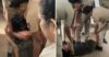 Allegedly Drunk Girl Behaves Aggressively With Mangaluru Cops But Medical Test Reveals The Twist RVCJ Media