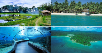 Island Escapes: 6 Breathtaking Islands for a Tropical Retreat in India