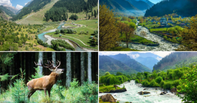 Heaven on Earth: 6 Best Places in the Paradise of Kashmir 
