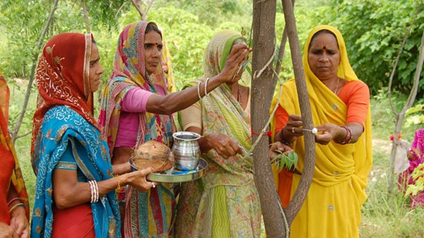 People Of This Rajasthan Village Plant 111 Saplings Every Time A Girl Is Born, Here’s Why RVCJ Media