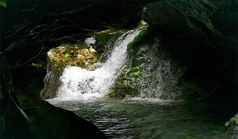 7 Breathtaking Waterfalls in Uttarakhand: A Natural Wonder Tour