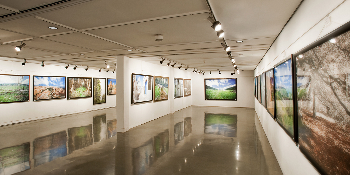 Art Enthusiast's Paradise: 8 Galleries to Visit in Mumbai