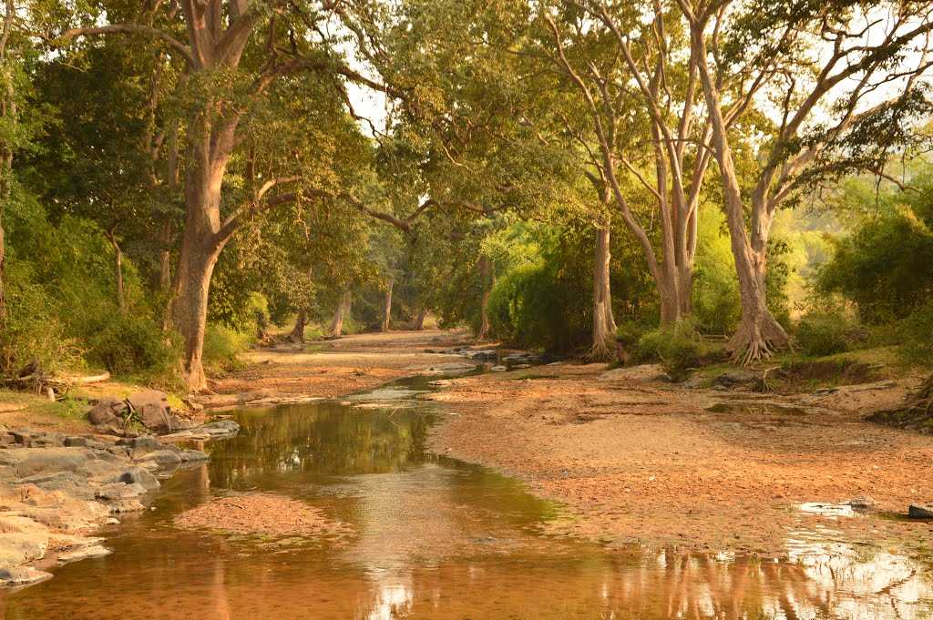 Experience Cultural Heritage: 6 Best Places To Visit In Odisha 6 Experience Cultural Heritage: 6 Best Places to Visit in Odisha