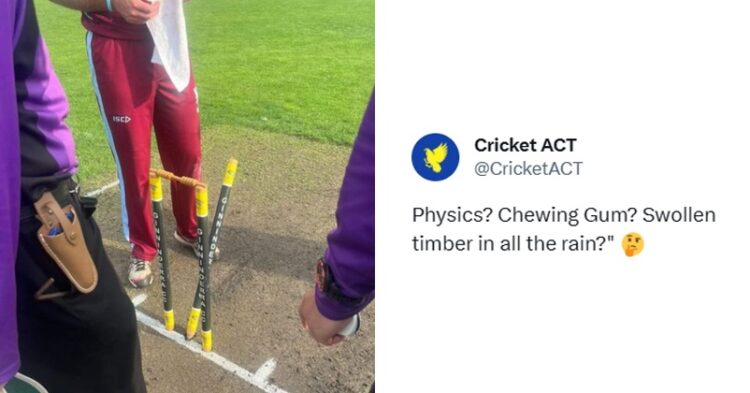 Cricket Fans Left Shocked As Middle Stump Knocked Back But Batter Was Not Out 1 Tripti Dimri Reveals Her Parents Were Unhappy & Uncomfortable After Watching Her Scenes In Animal