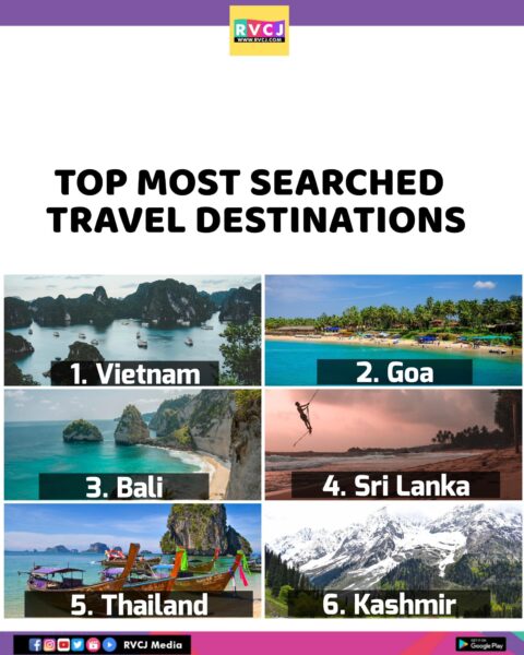 Movies, Cricket & Memes, Here’s The List Of Topmost Google Searches By Indians In 2023 - RVCJ Media
