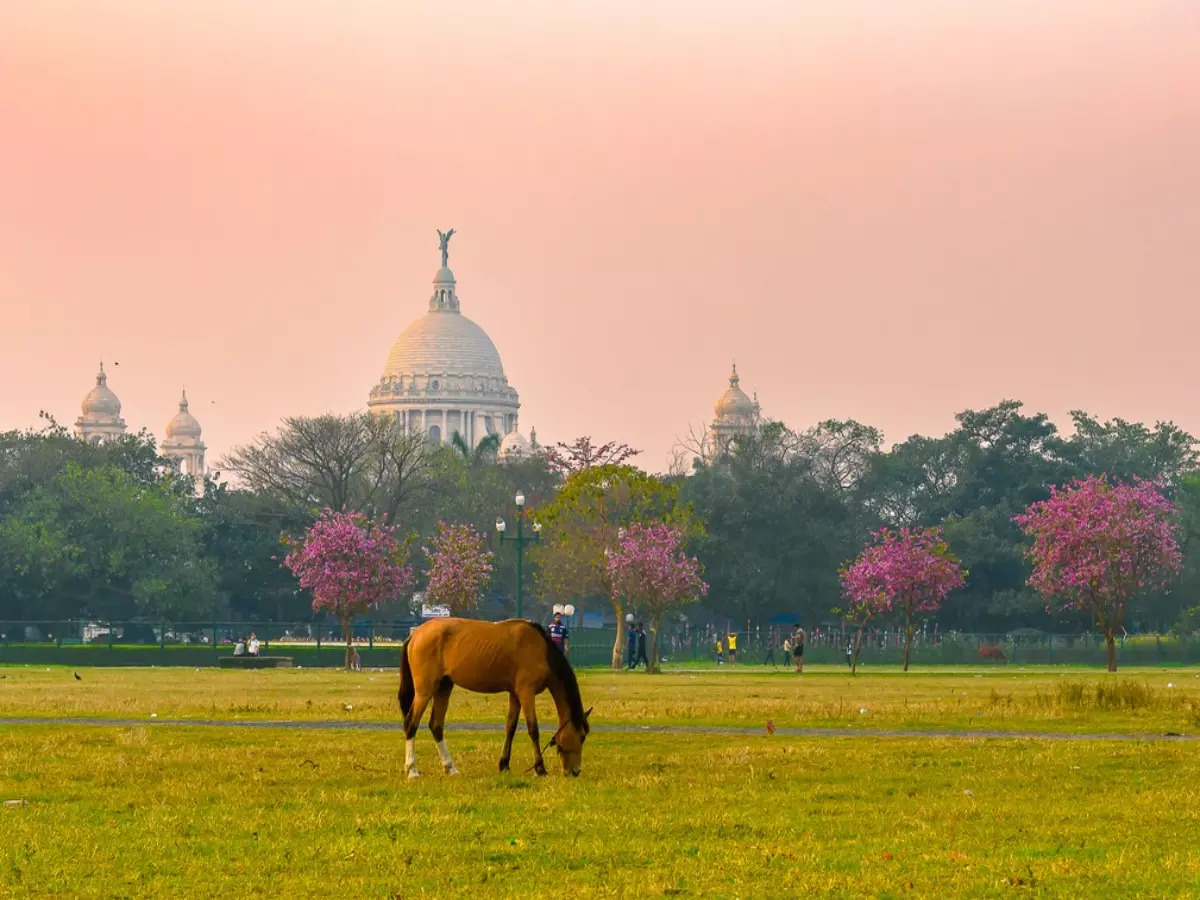 15 Must-Do Activities In Kolkata, The City Of Joy! 15 15 Must-Do Activities In Kolkata, The City Of Joy!