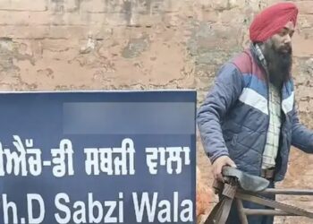 Triptii Dimri Disclosed How Ranbir Kapoor Made Her Comfortable Before Intimate Scenes