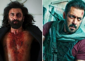 From 12th Fail to Jawan: Top Bollywood Movies of 2023