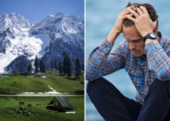 Digital Detox Destinations: Unplugging and Reconnecting With Nature