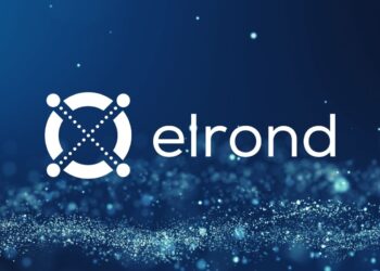 Elrond Essentials: A Strategic Guide for EGLD Investors