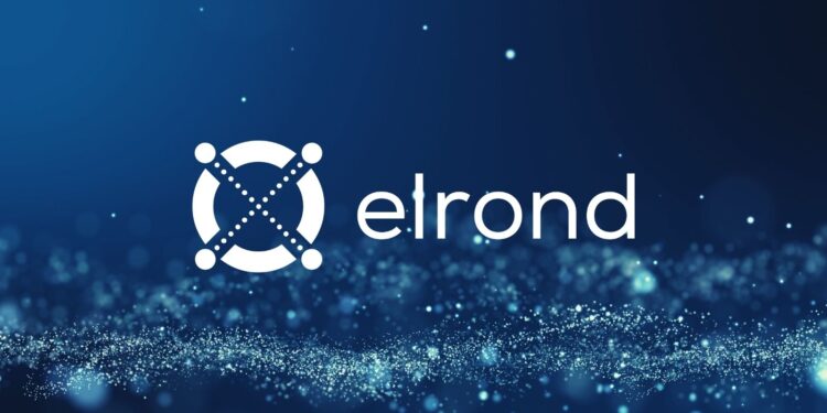 Elrond Essentials: A Strategic Guide For Egld Investors 1 Elrond Essentials: A Strategic Guide for EGLD Investors