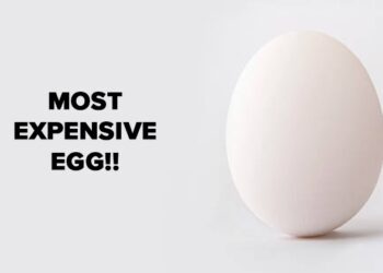 Bengaluru Woman Ended Up Paying Rs 48,000 For Eggs After Falling For Fake Offers Online