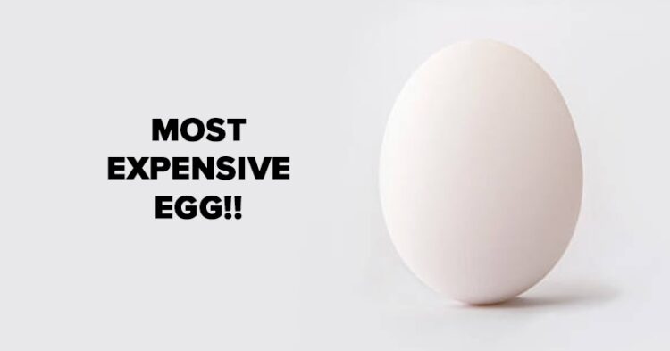 Bengaluru Woman Ended Up Paying Rs 48,000 For Eggs After Falling For Fake Offers Online 1 Bengaluru Woman Ended Up Paying Rs 48,000 For Eggs After Falling For Fake Offers Online