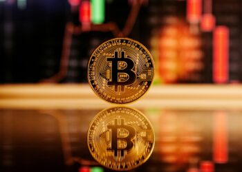 Enterprise Excellence: Bitcoin & NEM Blockchain