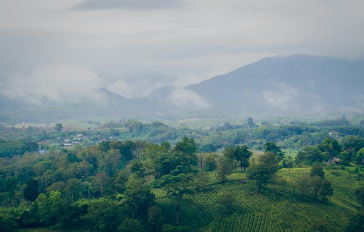 Savouring The Journey: 6 Best Destinations For Slow Travel 1 Savouring The Journey: 6 Best Destinations For Slow Travel