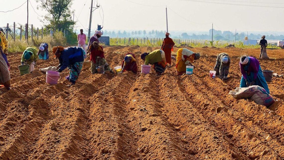 Hebbevu Farm Empowers Women: A Story of Resilience, Determination, and Success