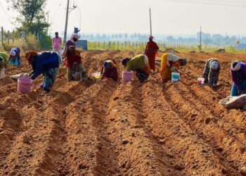Hebbevu Farm Empowers Women: A Story of Resilience, Determination, and Success