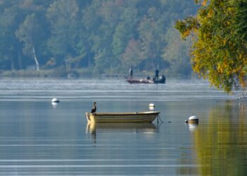 Boat Rides on Ooty Lake: Experience Serenity Amidst Nature