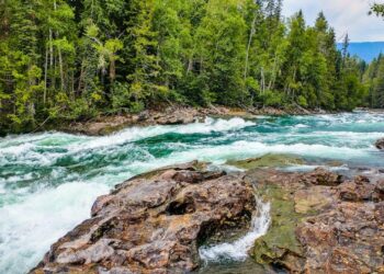 How to Enjoy Short Trips for Nature Lovers