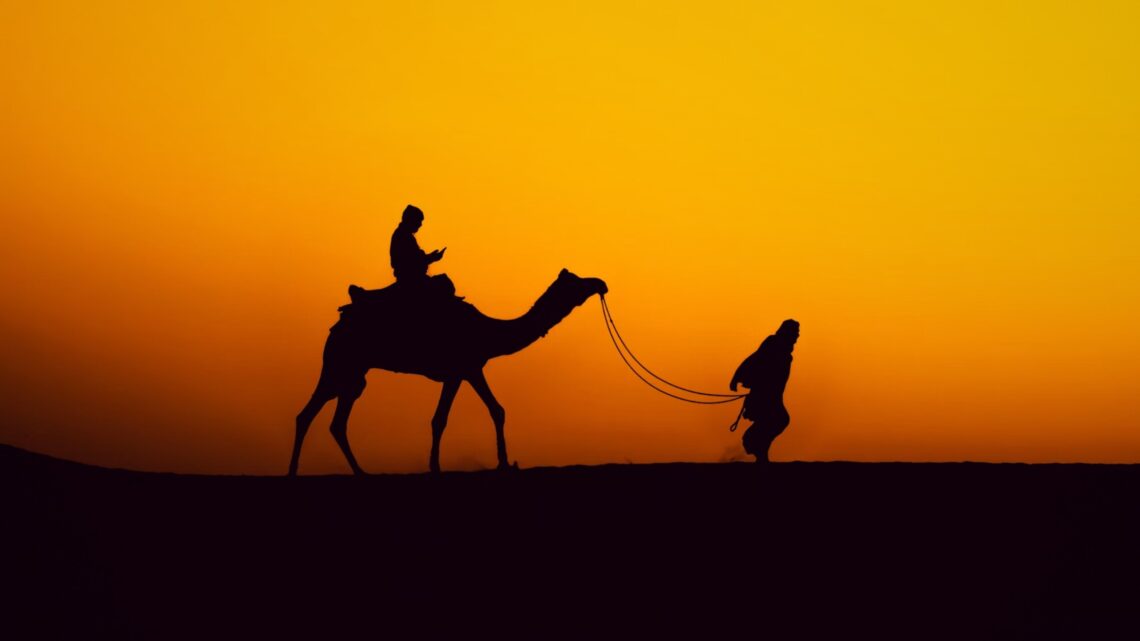 Pushkar Camel Fair 2024: Experiencing An Amazing Annual Spectacle