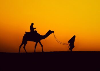 Pushkar Camel Fair 2024: Experiencing An Amazing Annual Spectacle