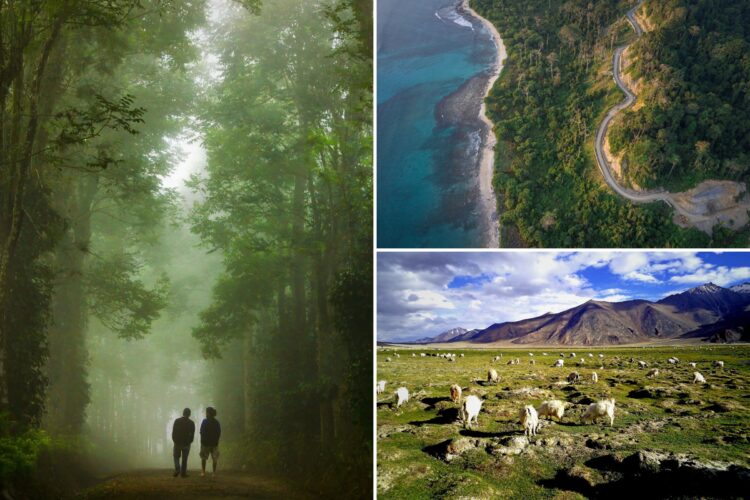 9 Travel Destinations In India For Summer Vacations