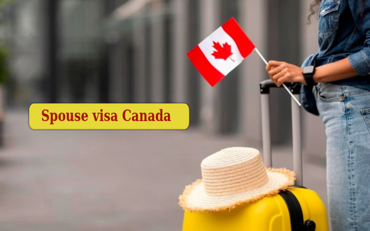 Meeting Financial Criteria For Spouse Visa Sponsorship In Canada 1 Meeting Financial Criteria for Spouse Visa Sponsorship in Canada