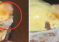 Mumbai Police Reveals Whom The Finger Found In Ice-Cream Could Belong To 5 Mumbai Police Reveals Whom The Finger Found In Ice-Cream Could Belong To