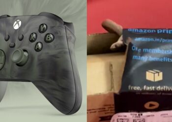 Bengaluru Couple Orders Xbox Controller, Amazon Delivers Live Cobra Instead