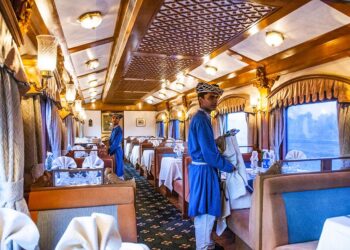 Journey Through Time and Culture - Exploring India by Train