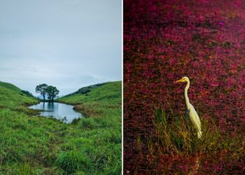 8 Best Places to Visit in Wayanad - RVCJ