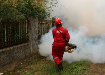 A Spotless Reputation: How To Maintain A Pest-Free Diner And Takeaway