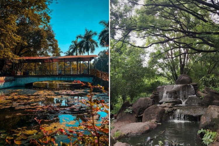 The 10 Best Gardens In Pune | Timing &Amp; Entry-Fee 1 The 10 Best Gardens In Pune - RVCJ