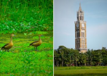 The 8 Best Parks in Mumbai - RVCJ