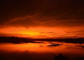 The 11 Best Places To Visit In Chennai - RVCJ