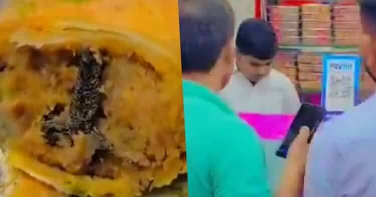 Frog Leg Allegedly Found In Samosa From Ghaziabad’s Bikaner Sweets, Shopkeeper Arrested 1 Frog Leg Allegedly Found In Samosa From Ghaziabad’s Bikaner Sweets, Shopkeeper Arrested