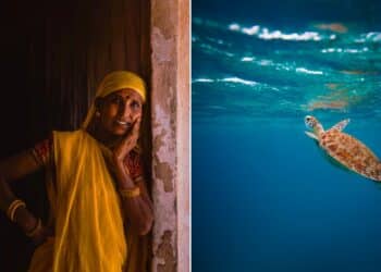 Best Eye-Opening Documentaries - RVCJ