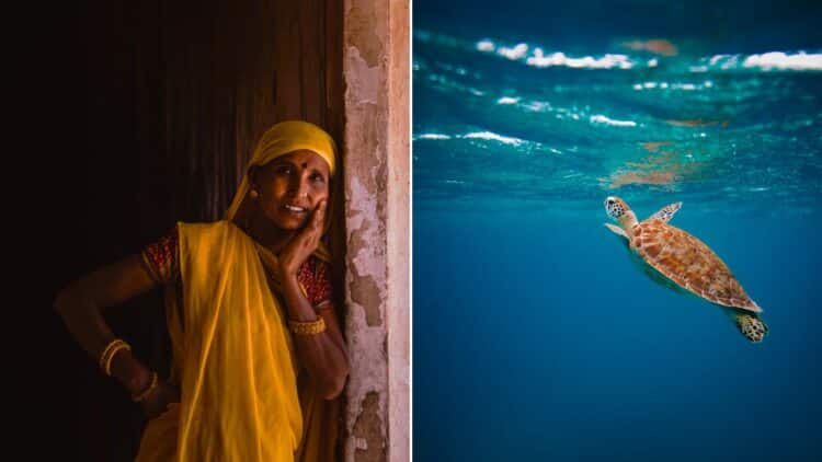 Best Eye-Opening Documentaries - RVCJ