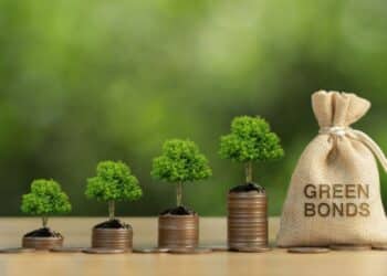 How Green Bonds are Encouraging Corporate Transparency