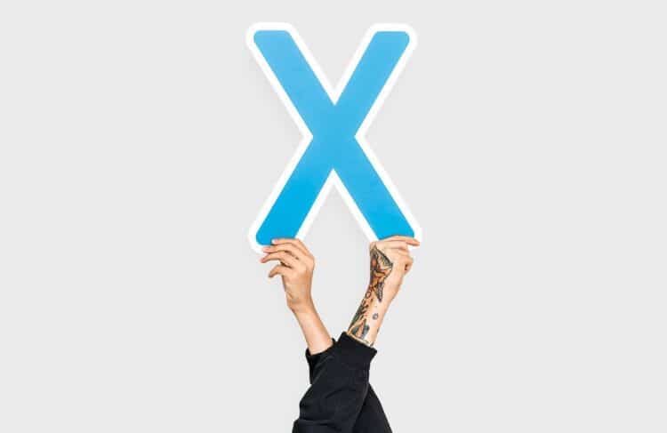 Twitter Video Downloader